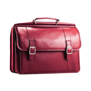 Veta Velvet Bag